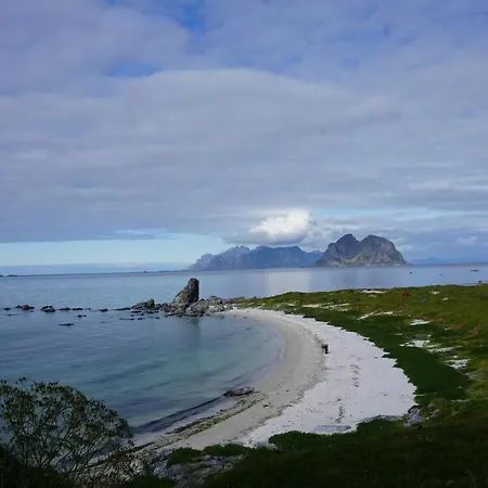 Ellingbua * Offersoya