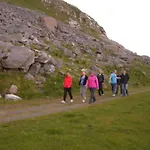 Ellingbua * Offersoya